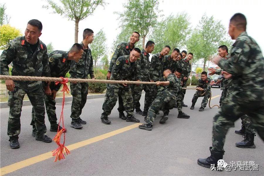 吃鸡名称最新,探索自然美景的治愈之旅