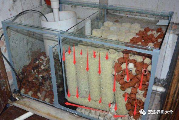 最新上滤鱼缸安装与使用指南