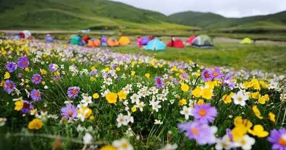 草留最新地,一场与自然美景的邂逅,寻找内心的平和与喜悦