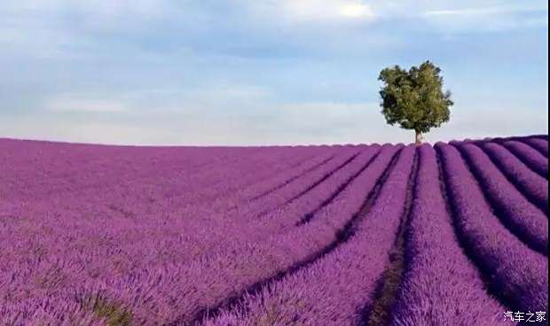 草留最新地,一场与自然美景的邂逅,寻找内心的平和与喜悦