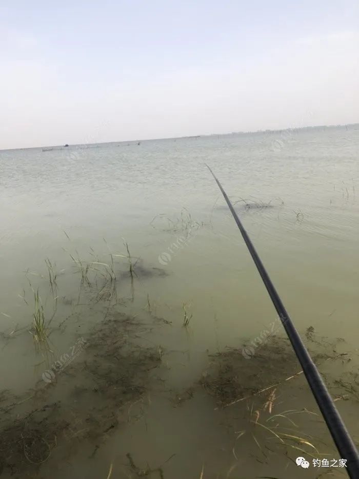泗阳最新钓点,垂钓胜地的新时代印记