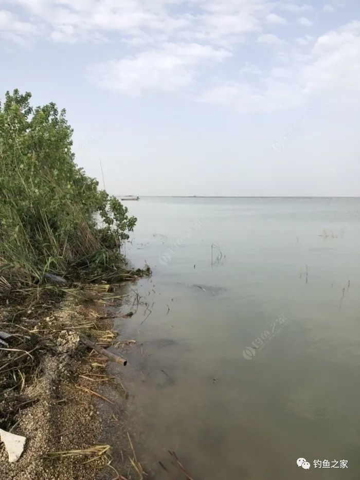 泗阳最新钓点,垂钓胜地的新时代印记