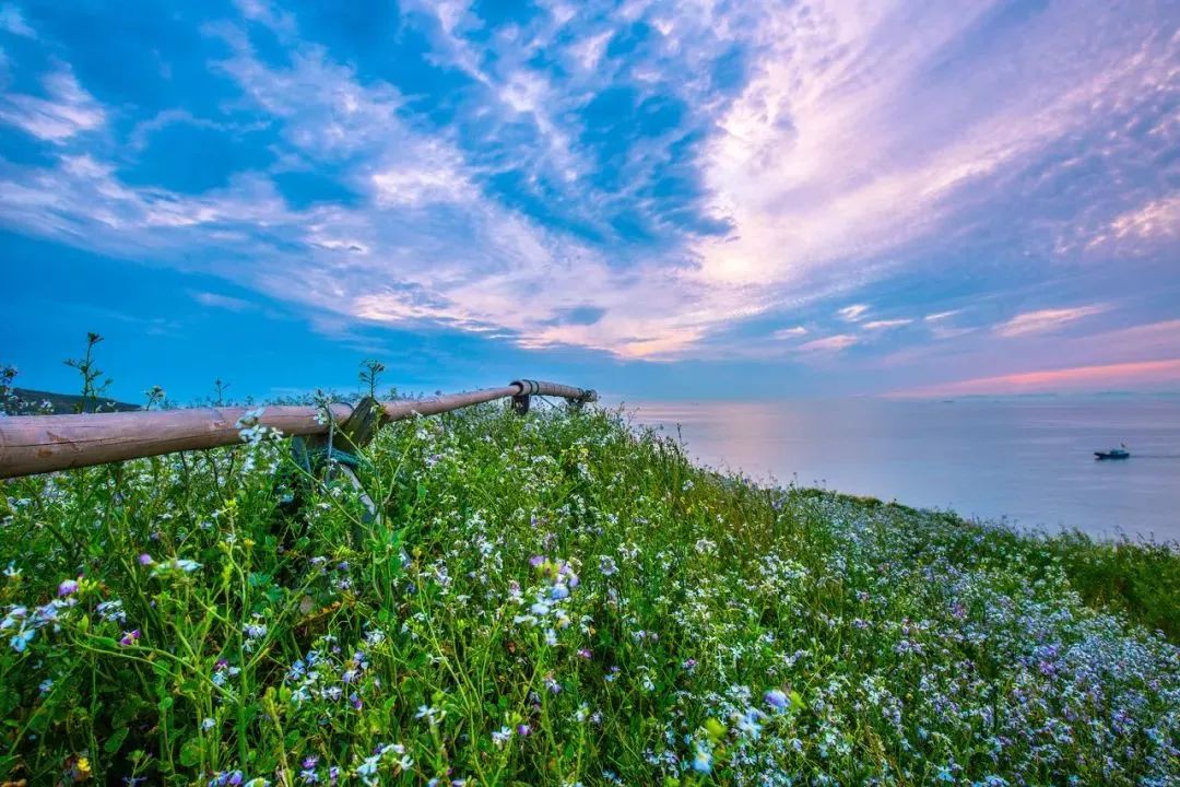 最新网信消息,一场探索自然美景的旅行,带你远离尘嚣,发现内心的平静