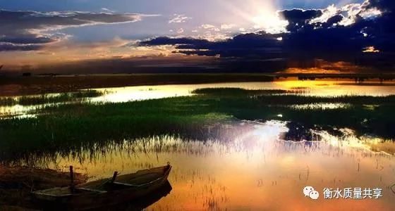 最新金龙鱼,一场自然美景的探索之旅