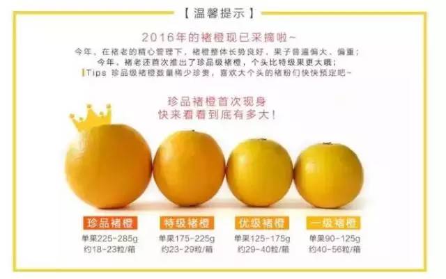 多藦豪最新,变化中的学习之旅,自信与成就感的源泉