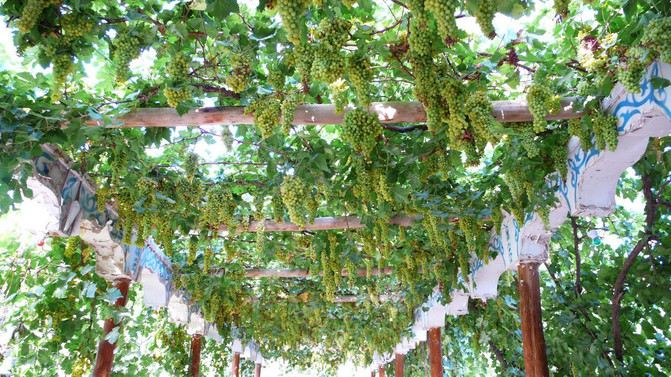 多藦豪最新,变化中的学习之旅,自信与成就感的源泉