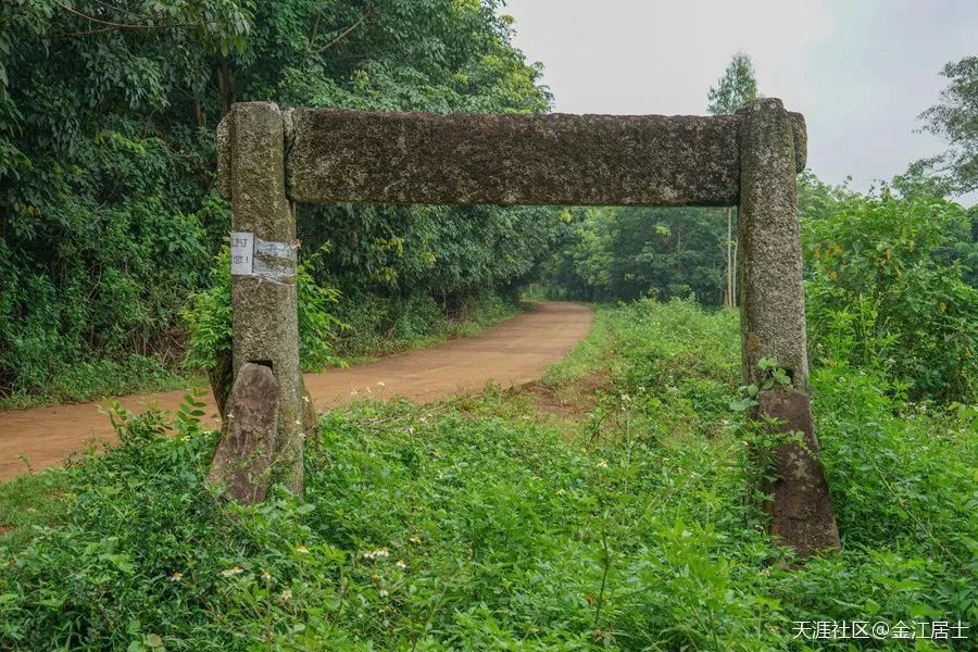 最新自治县,一场自然美景的探索之旅