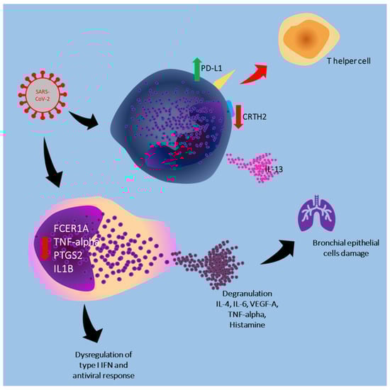 细胞免疫最新动态