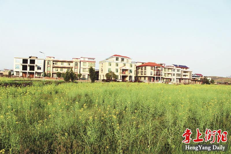 最新仇桥镇,蓬勃发展的魅力小镇