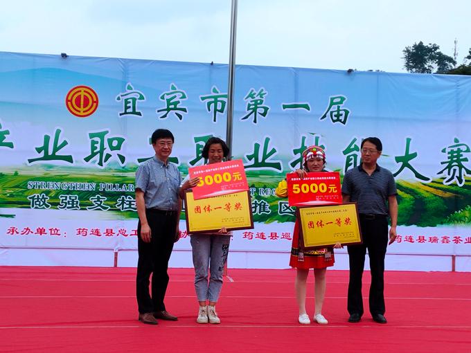 宜宾招聘最新信息,一场寻找梦想的温馨之旅