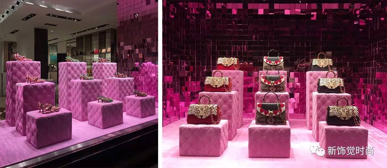 郭震洲最新动态,如何追踪并了解他的最新消息与活动