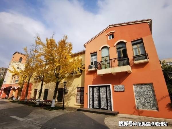 疫情最新河南,观点阐述与分析