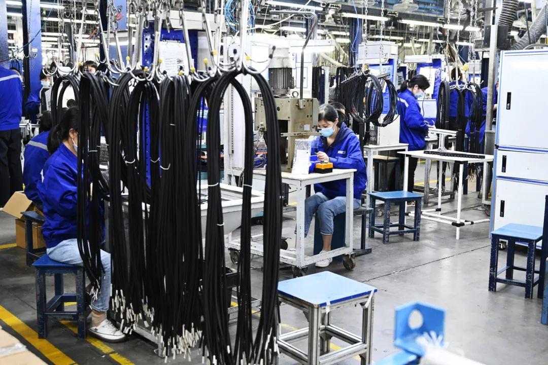 最新新型疫情,变化中的学习,信心与成就的力量