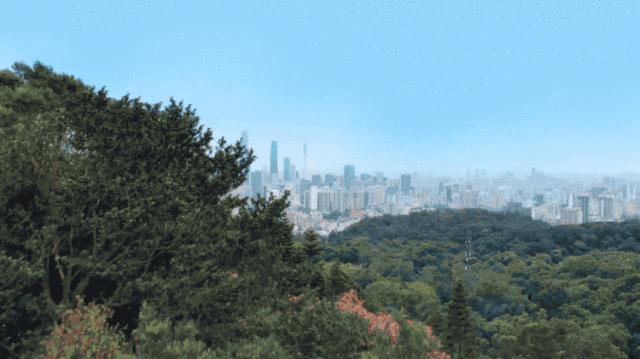 爱 电视剧,情感、叙事与艺术的交融