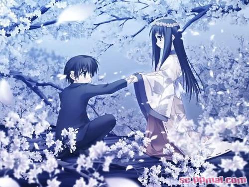 樱花的动漫,一种文化现象的深度解读