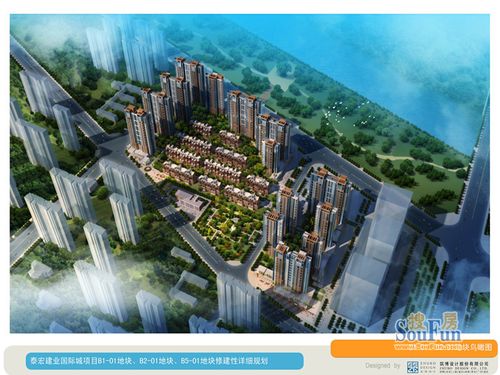 泰宏建业二期最新进展,家的温暖与陪伴的喜悦