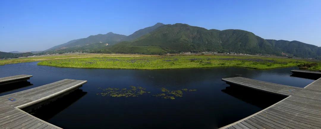 广西北海最新新闻,城市发展的多维度探析与观点碰撞