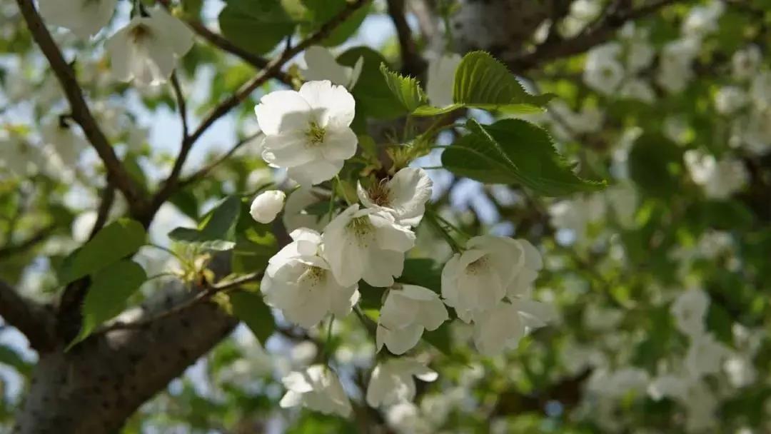 最新疫情等级实时资讯,探索自然美景的轻松之旅