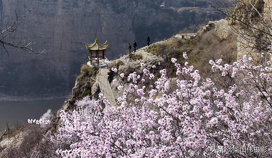 最新疫情等级实时资讯,探索自然美景的轻松之旅
