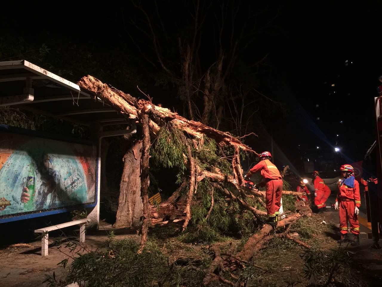帕卡珠海资讯,小巷深处的独特风味