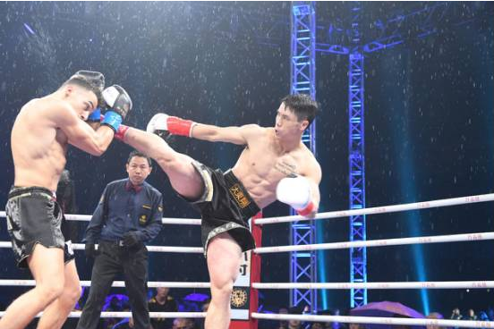 位宁辉比赛视频全集,热血拳台的荣耀时刻