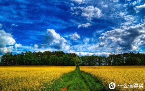最新国外大片,探索自然美景的治愈之旅