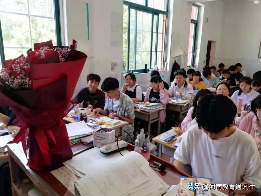 电视剧白鸽的温馨日常