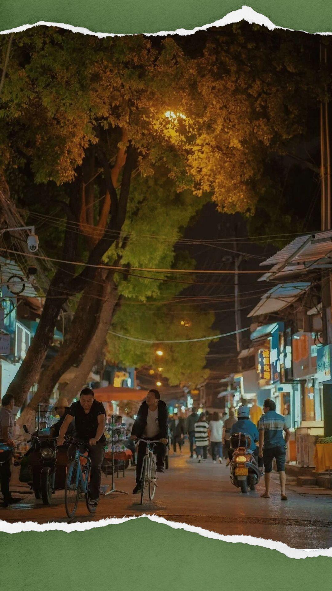 上市公司的特征,探寻小巷中的隐秘宝藏