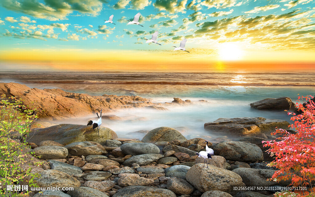 最新电视广告盘点,一场自然美景的探索之旅