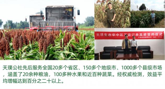 商丘土豆行情,土豆背后的励志故事