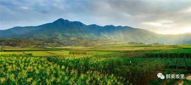 L游戏比赛,一场自然美景中的心灵之旅