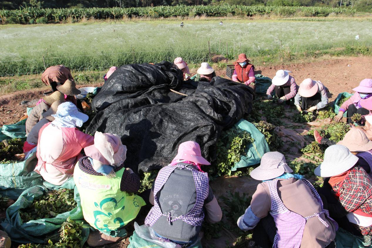 爱培育新篇章,书写美好未来