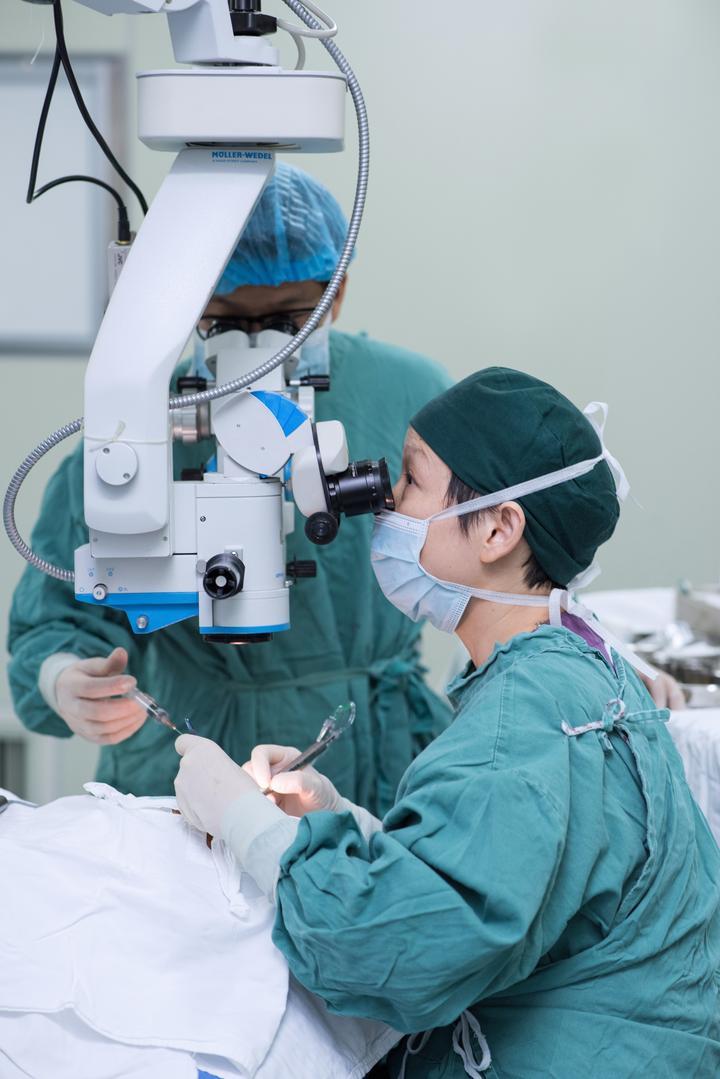 弱视最新动态,一场心灵与自然的奇妙旅行