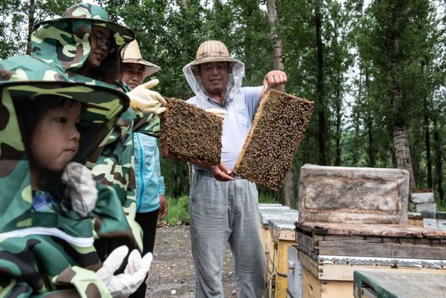 宿迁运河春天动态,探索春天的美景与活动指南