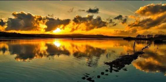 深圳股票代码开头,一场自然美景的心灵之旅