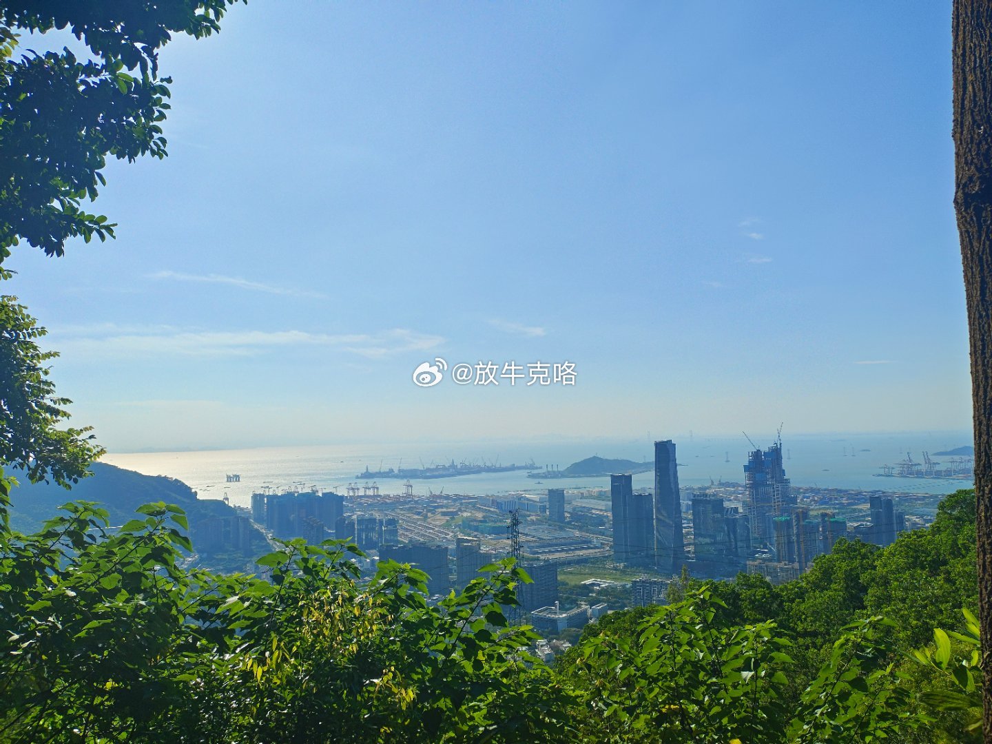 深圳股票代码开头,一场自然美景的心灵之旅