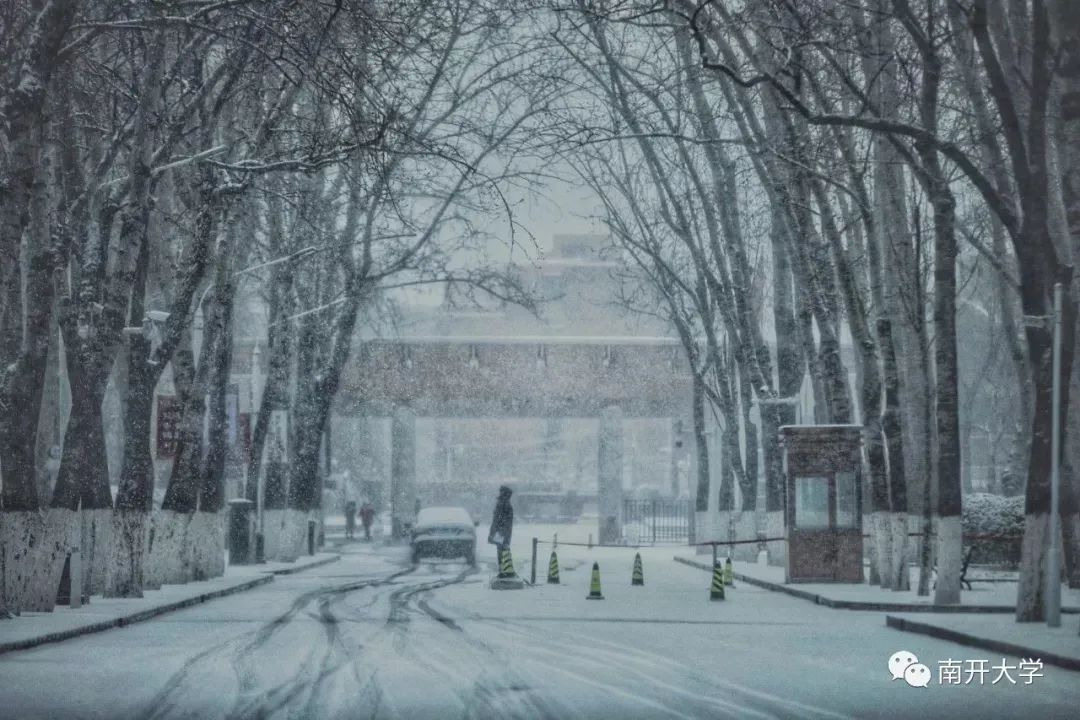 南开疫情动态,科技守护南开,重塑未来生活