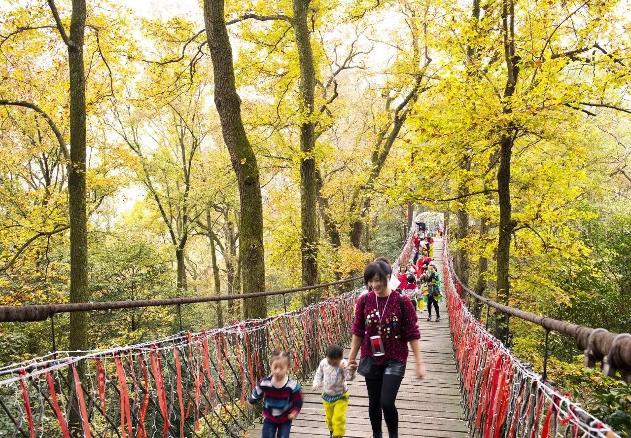 浣碧演员,探索自然美景的旅行,寻找内心的宁静与喜悦