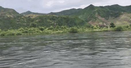 最新资讯,温馨小城的趣事与情感纽带