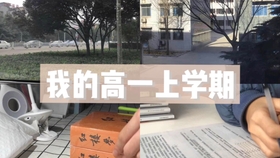 安庆快递公司招聘信息——小巷中的秘密速递宝藏