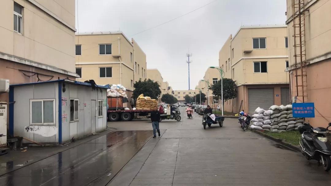 中国余姚塑料城行情,深度分析与观点阐述