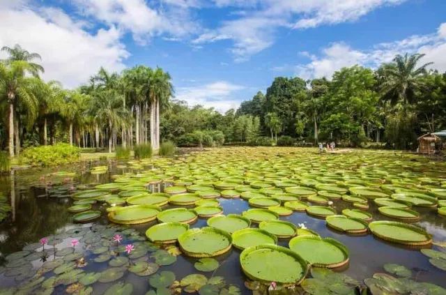 万科最新土地获取,一段温馨有趣的寻地之旅