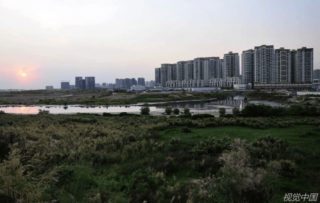 万科最新土地获取,一段温馨有趣的寻地之旅