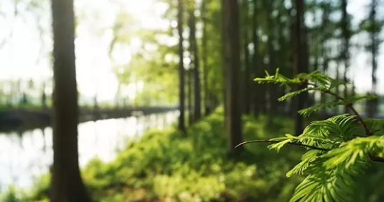 明星腰疼,那就来一场说走就走的自然美景之旅吧!