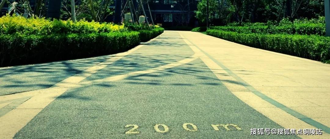 最新疫情动态下的自然美景之旅,寻找内心的平和与宁静