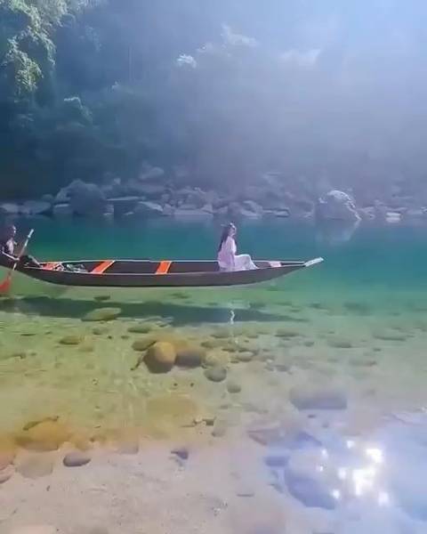 香港上市公司的自然探索之旅,寻找内心的宁静与平衡