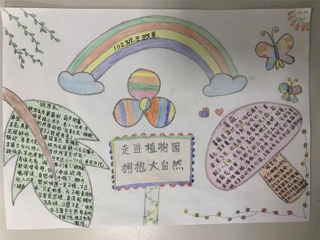 最新十一手抄报,学习变化的自信与成就感之旅