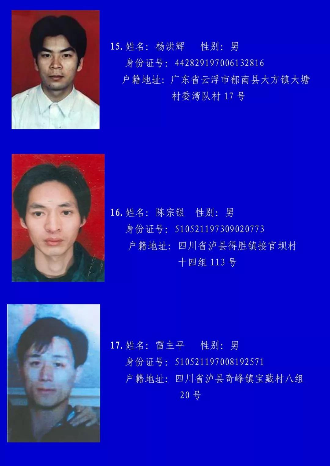 佛山最新通缉逃犯,深度解析与公众须知