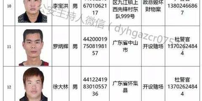 佛山最新通缉逃犯,深度解析与公众须知