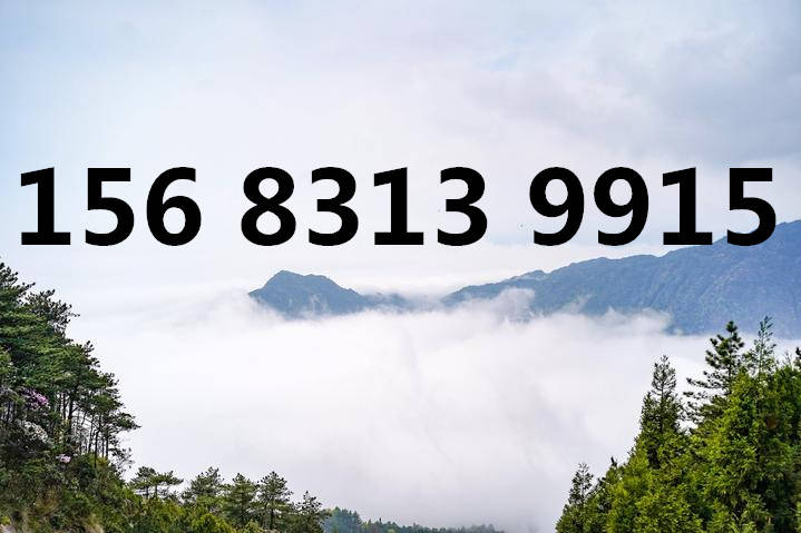 金学伟最新力作,一场与自然美景的亲密旅行,寻找内心的平和之地